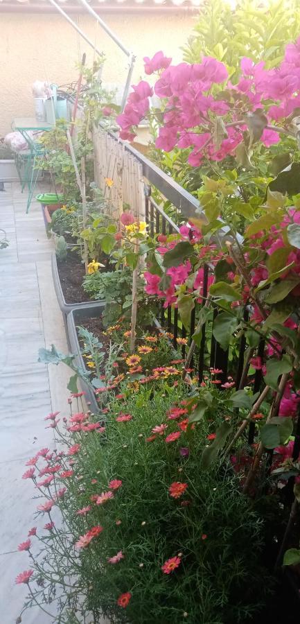 Aegina'S Flowers House エクステリア 写真