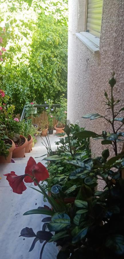 Aegina'S Flowers House エクステリア 写真