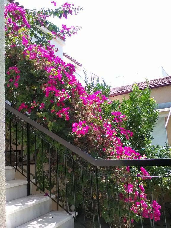 Aegina'S Flowers House エクステリア 写真