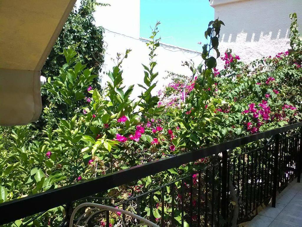 Aegina'S Flowers House エクステリア 写真