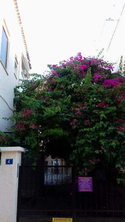 Aegina'S Flowers House エクステリア 写真