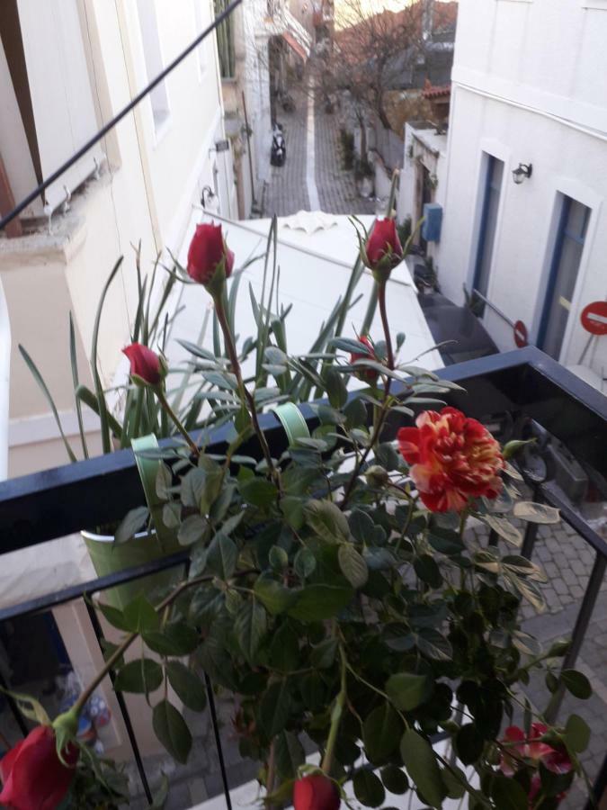 Aegina'S Flowers House エクステリア 写真