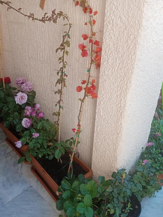 Aegina'S Flowers House エクステリア 写真